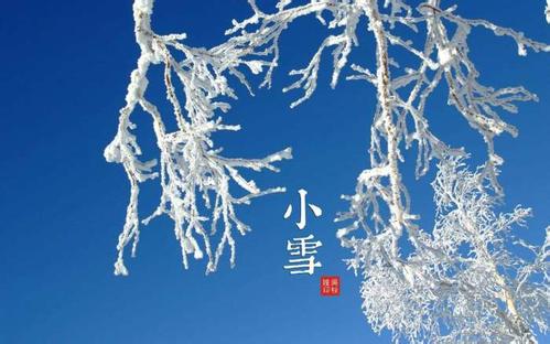 小雪节气说到“肾”，那我们该如何养呢？